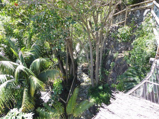 Maroparque Isla de La Palma