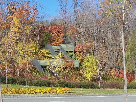 Le Boisé de Tequenonday