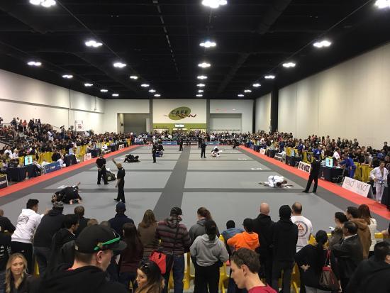 Centro Internacional de Convenciones de Georgia