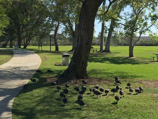 Carbon Canyon Regional Park