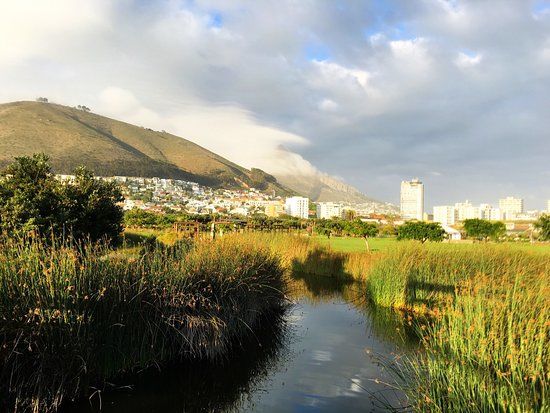Greenpoint Park y Jardín de la Biodiversidad