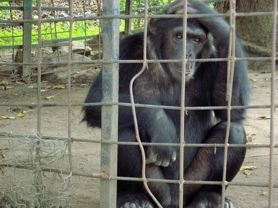 Museo Vivo de Bujumbura