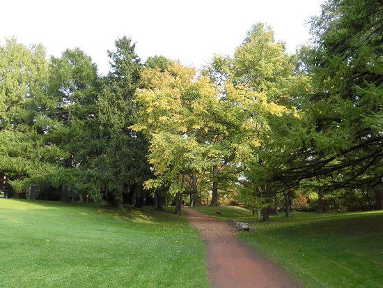 Jardín Botánico de la Universidad de Hokkaidō
