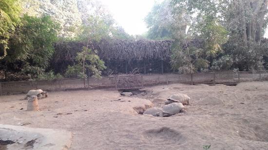 Zoológico de Karachi