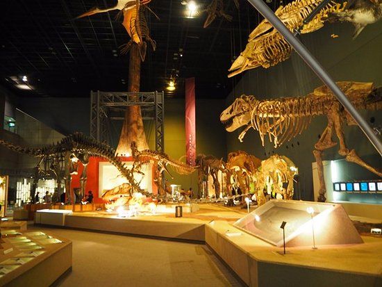 Museo de Historia Natural de la Prefectura de Kanagawa