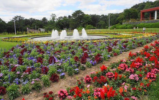 Parque de Hattori Ryokuchi