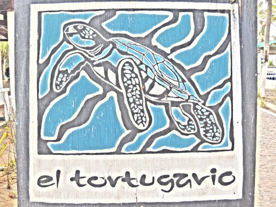 El Tortugario