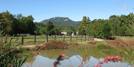 Tenuta Agricola Nicolini