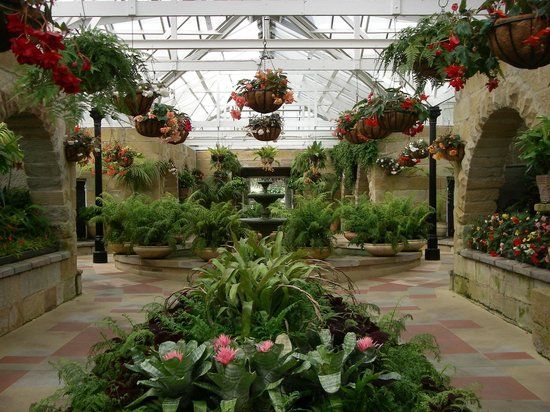 Real Jardín Botánico de Tasmania