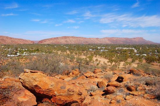 Jardín Botánico Olive Pink