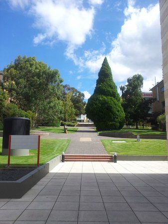 Universidad de Tasmania