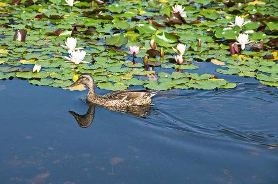 Austrian Sculpture Park