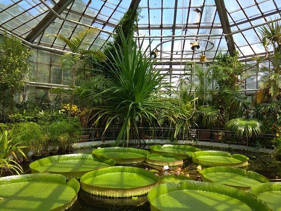 Jardín Botánico de Cluj-Napoca