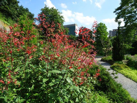 Jardín Botánico de la Universidad de Utrecht
