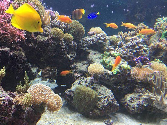 SEA LIFE Centre Speyer