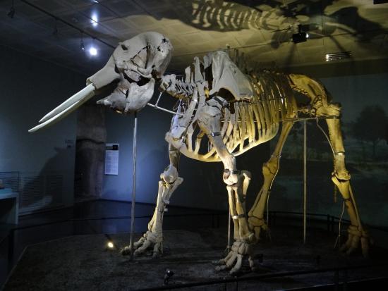 Museo Arqueológico de Kahramanmaraş