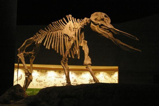 Museo nacional de Arabia Saudita