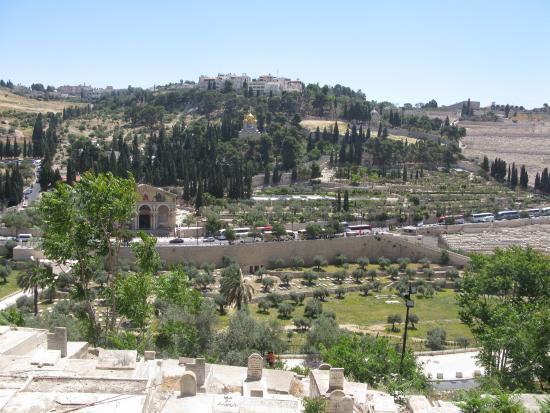 Mount of Olives
