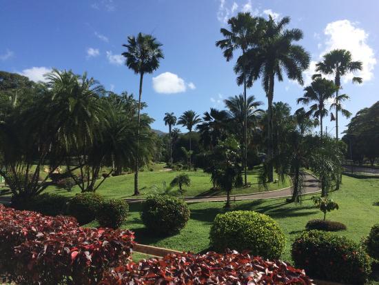 Real Jardín Botánico de Trinidad
