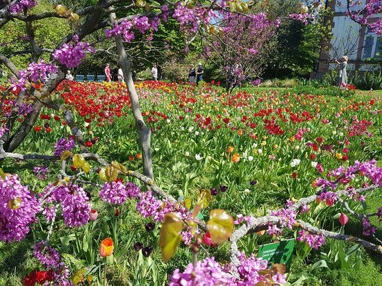 Schau- und Sichtungsgarten Hermannshof
