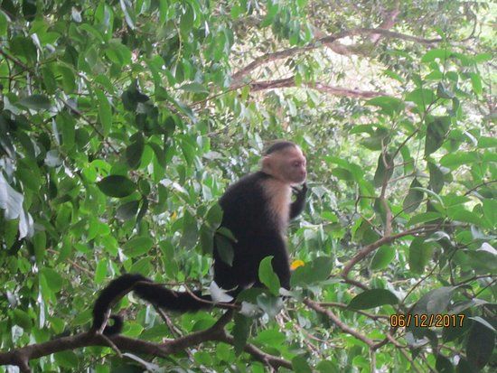 Parque nacional Manuel Antonio