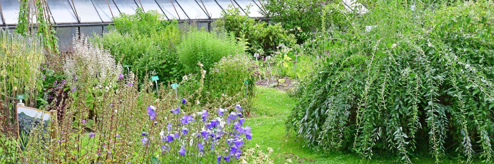 Jardín Botánico de la Universidad de Estrasburgo