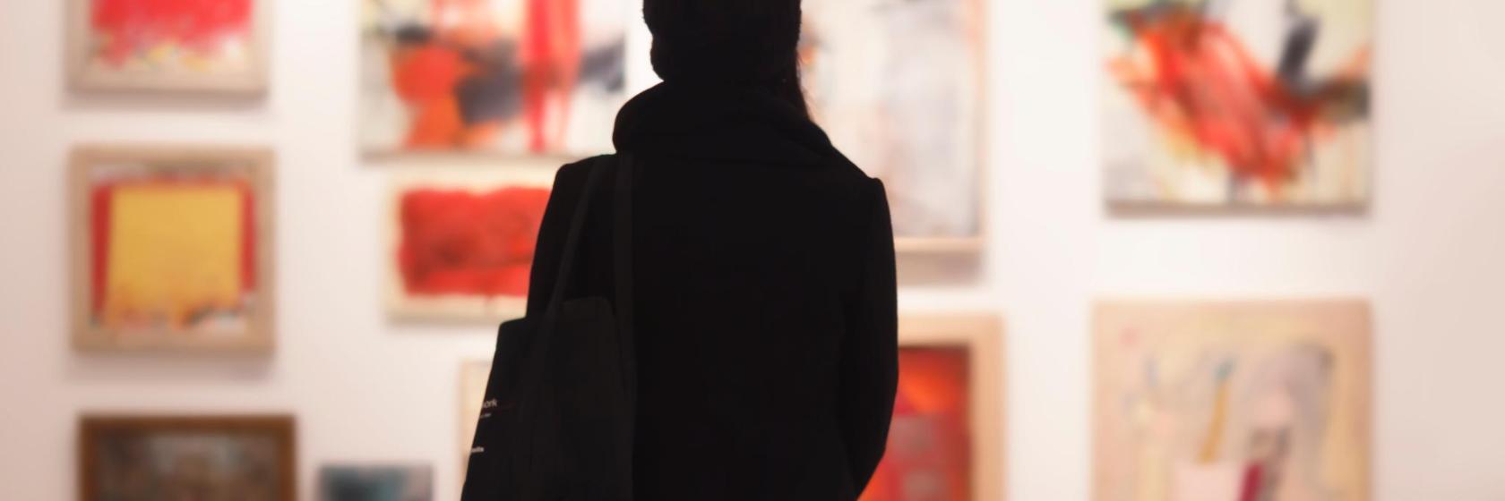 Museo de las Bellas Artes André Malraux