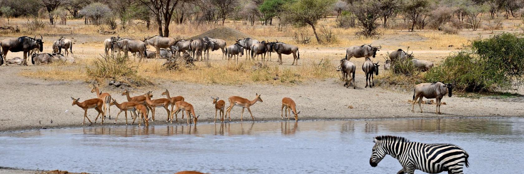 Parque Nacional Kruger