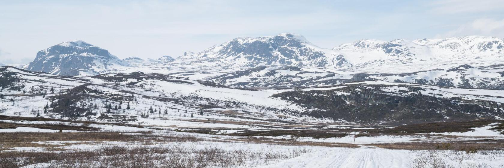 Estación de esquí Golsfjellet