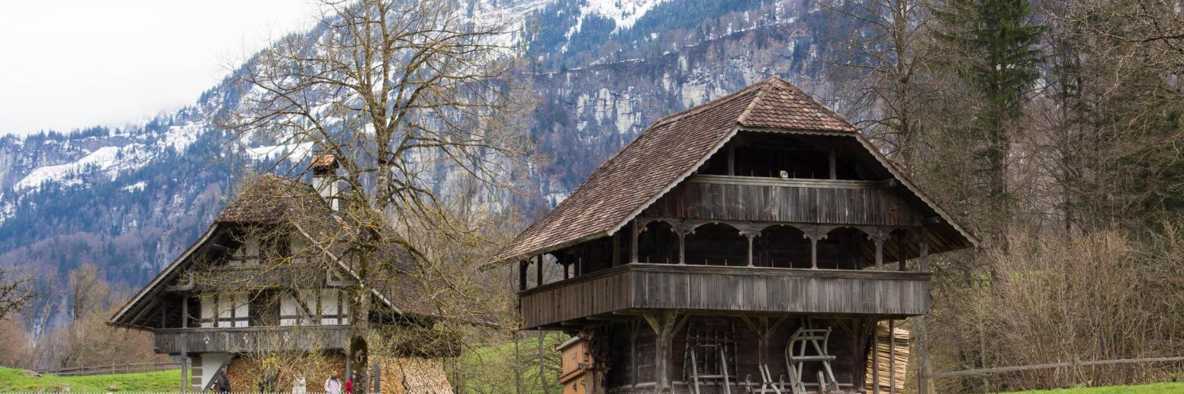 Museo al aire libre Ballenberg