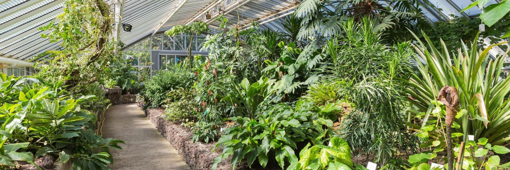 Jardín Botánico de Berlín