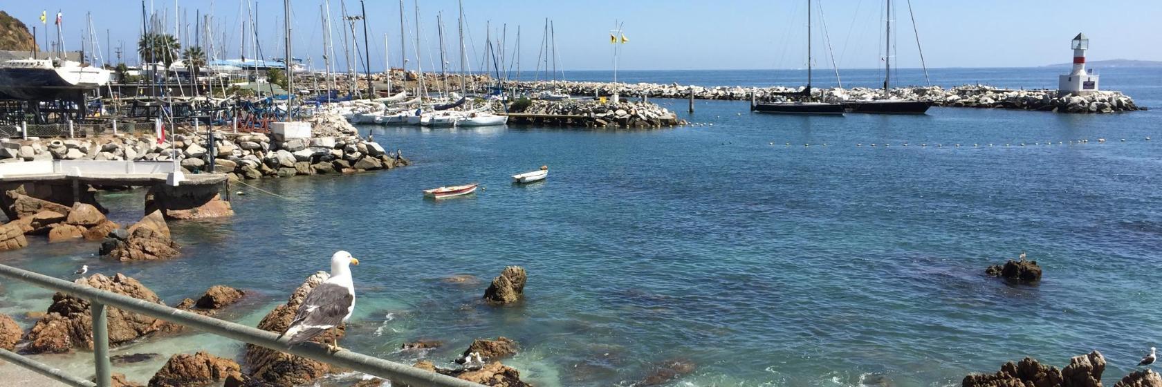 Club de Yates de Concón