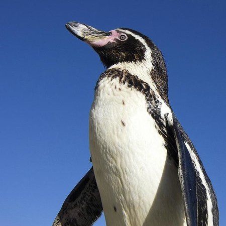 Seaview Wildlife Encounter