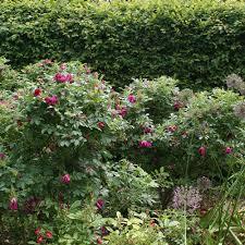 Rosaleda del Valle del Marne