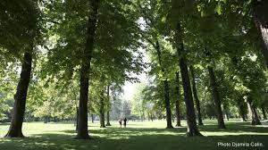 Parc Departemental de la Roseraie