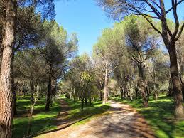 Dehesa de Navalcarbón