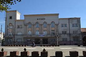 Muzeul Judeţean Satu Mare