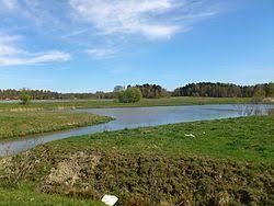 Nature reserve Boglundsangen