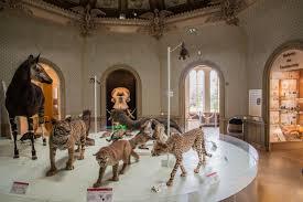 Museo de Ciencias Naturales