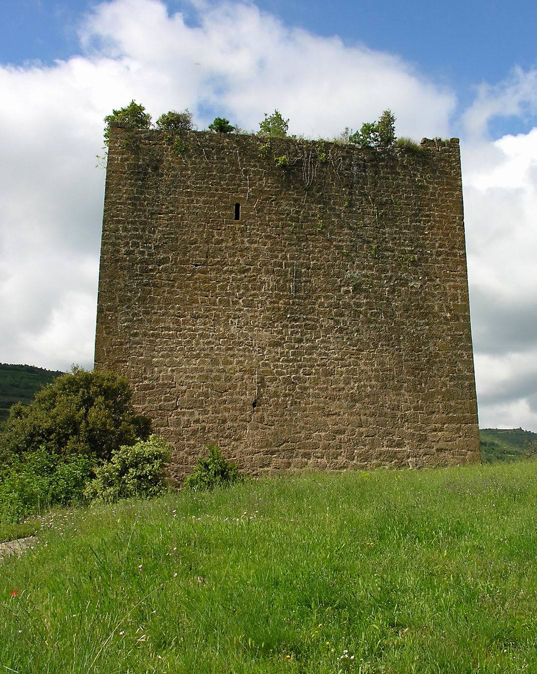 Castillo de Riner