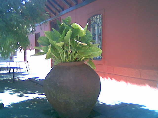 Museo Arte y Artesanía de Linares