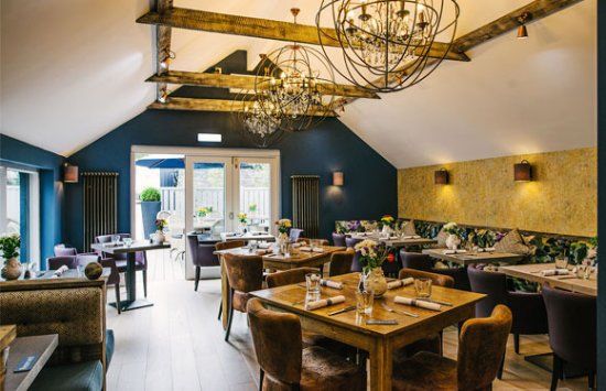 S&B Lavenham Greyhound