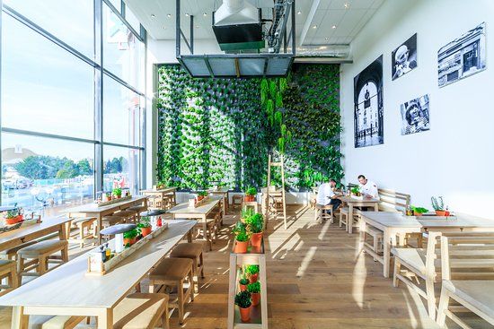 Vapiano Disney Village