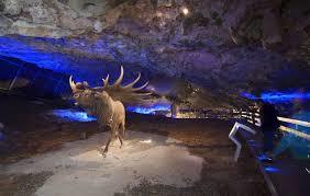 C. I. Fauna Glacial de Avín y Cueva de la Peruyal
