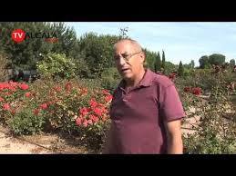 Real Jardín Botánico Juan Carlos I