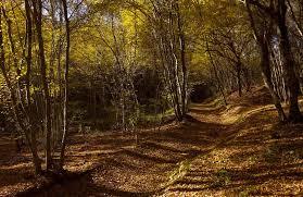 Parco naturale di Montevecchia e della Valle di Curone
