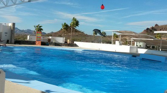 Delfinario Sonora