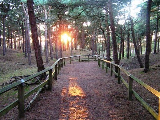 Freshfield Squirrel Reserve