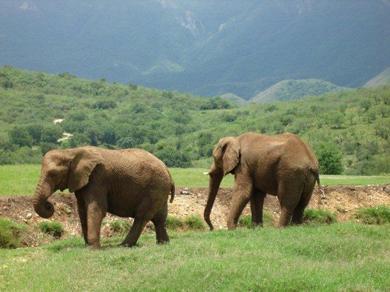 el Bioparque Estrella