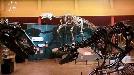 Museo del Desierto Chihuahuense